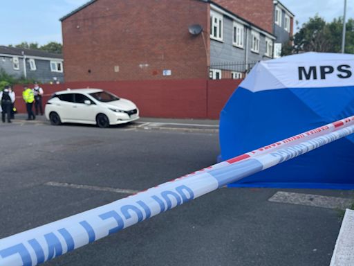 Boy, 15, stabbed to death in Hackney