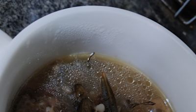 湯水食譜｜石橄欖雞腳螺頭湯