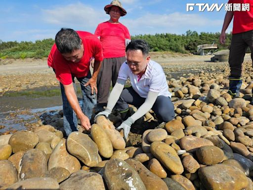 蘇俊賓手繪石滬地圖 推廣新屋百年石滬