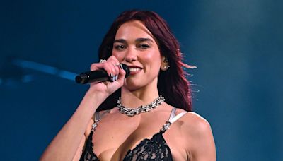 Dua Lipa excavates 500 tonnes of soil for at her London home