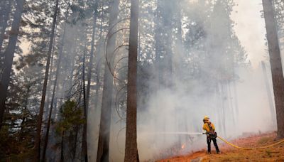 Park Fire in Northern California Grows to 350,000 Acres