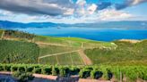 This little-known vineyard was just crowned Europe’s most beautiful