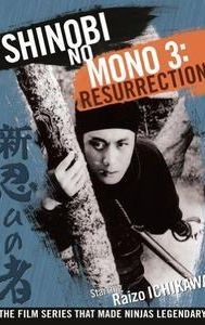 Shinobi No Mono 3: Resurrection