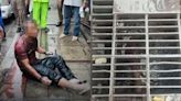 泰國男困排水溝4天 幸民眾發現報警拯救 手腳泡爛發白緊急送醫