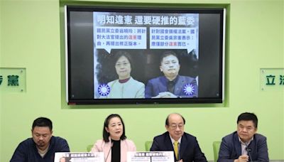 國民黨人人翁曉玲上身、誇張言論曝光 吳思瑤：展現「立院最大」的狂妄