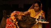 India police list 'cow vigilantes' after Hindu teen murder