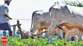 Farm gets Rs 49k crore booster, biggest since Telangana formation | Hyderabad News - Times of India