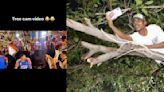 TREE View Cam! Watch Team India's Victory Parade Footage Recorded By A Fan From A Tree's Branch