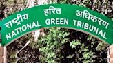 National Green Tribunal Guidelines To Be Followed For Idol Making