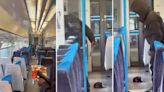 What we know so far about the Beckenham train stabbing