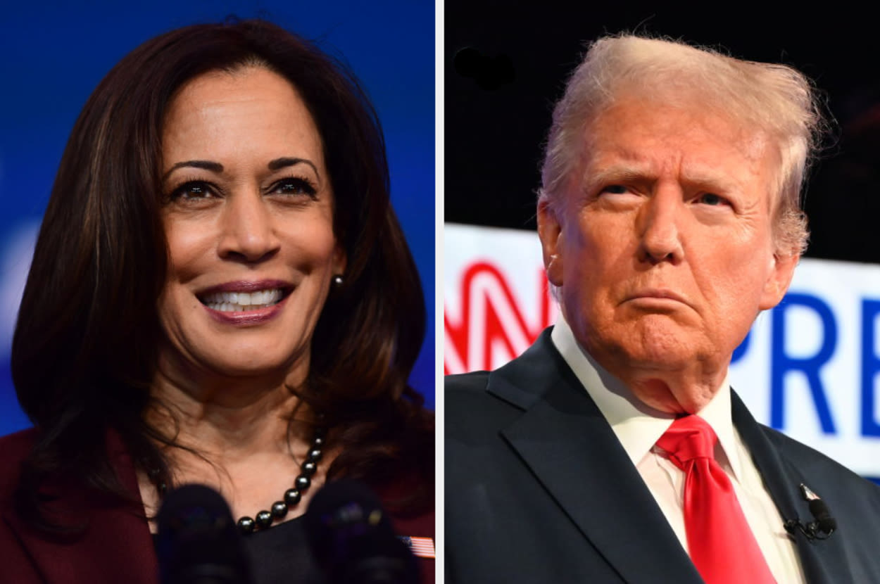 People Are Sharing Whether They Would Vote For Kamala Harris Or Donald Trump, And Some Of These Answers Surprised Me