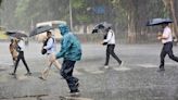 Mumbai rains: Monsoon illness on the rise