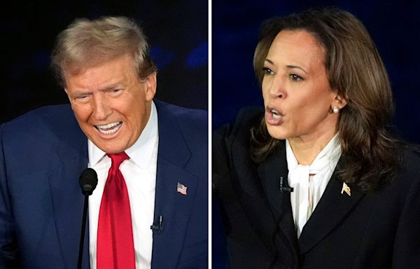 Snap poll after debate reveals state of presidential race between Trump and Harris