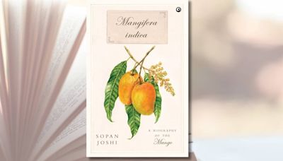 Mangifera Indica: A Biography of the Mango