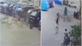 Terrifying VIDEO: Brave Woman Fights Off Around 15 Stray Dogs With Slipper In Hyderabad