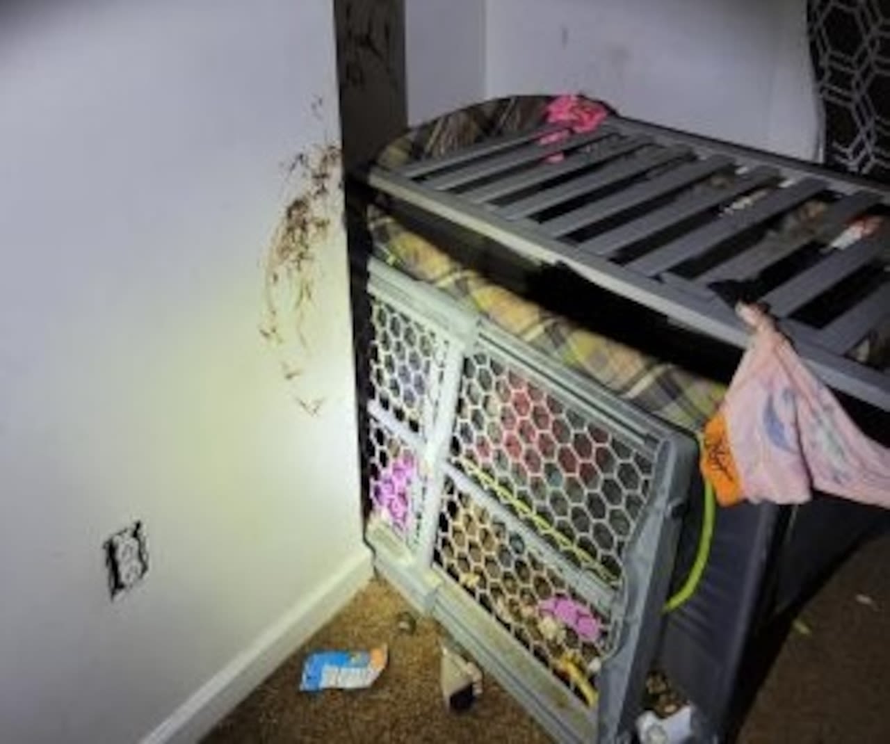Boy,2, found in makeshift feces-covered cage in Buffalo; mother arrested: Report