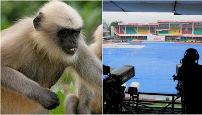 Langurs hired to save fans, broadcasting crew from monkey terror in Kanpur during India vs Bangladesh 2nd Test