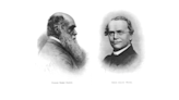 Mendel y Darwin: una relación enigmática