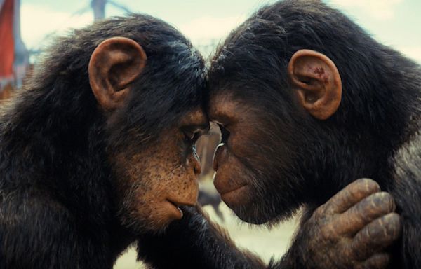 ‘Kingdom Of The Planet Of The Apes’ Lands Hulu Streaming Premiere Date