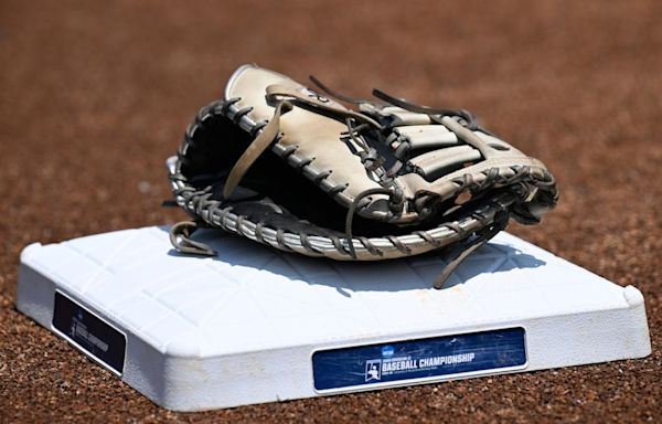 2024 NCAA DII baseball championship: How to watch the selection show, bracket, schedule