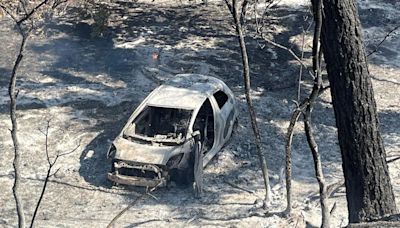 Chico man arrested on suspicion of arson in Park Fire, California's largest blaze this year
