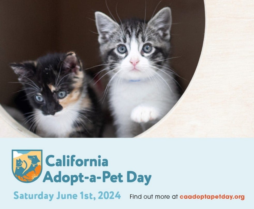 Hesperia, Barstow animal shelters to offer free pet adoptions during one-day event