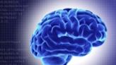 3 BRILLIANT MINUTES: Working out your brain as well as your body