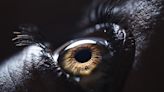 The eyes have it: Something strange happens to pupils when we breathe