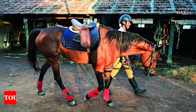 Beach watch: Mounted police keep crowds in line | Chennai News - Times of India