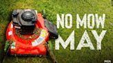 Don't mow that lawn! City of Rochester encouraging participation in "No Mow May"