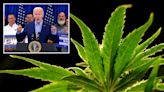 US drug control agency will move to reclassify marijuana in historic shift: sources