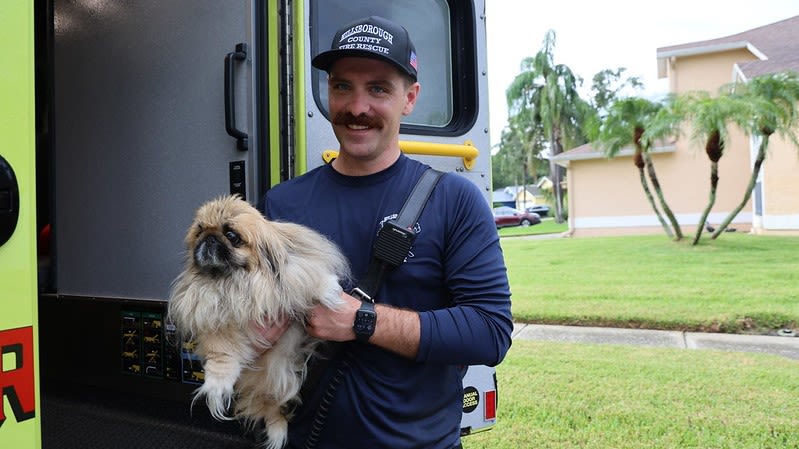 Dog rescued from Tampa house fire: HCFR