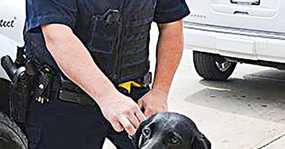 VIDEO and STORY: Wahpeton Police Department K-9 Gypsy took her final ride