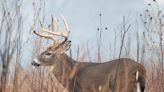 Tom Venesky: Hypocritical to believe the Pennsylvania Game Commission isn’t political - Outdoor News