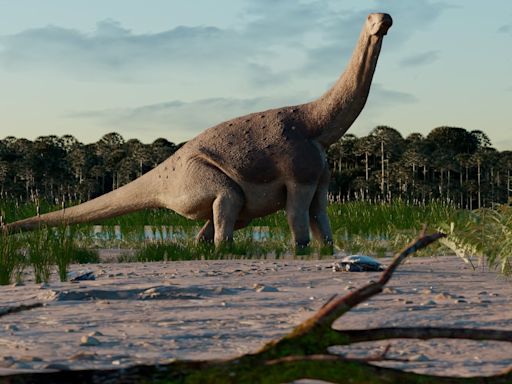 Un titanosaurio descubierto en la Patagonia sugiere que algunos dinosaurios redujeron su tamaño antes de la gran extinción