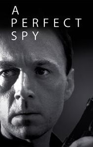 A Perfect Spy (TV series)