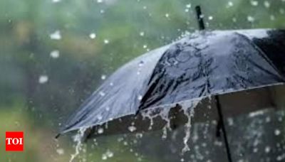 City’s 2nd wettest July ever, just 69mm shy of ’23 record | Mumbai News - Times of India