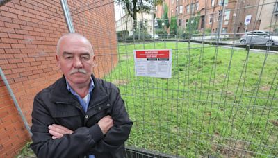 Concerns raised about number of rats that could be displaced when ABC demolished