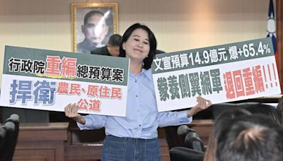 王鴻薇：政院若未對禁伐補償提合理說明 週五國民黨團仍會退預算