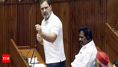 What I sought to convey in House is ground reality: Rahul | India News - Times of India