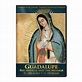 GUADALUPE: THE MIRACLE AND THE MESSAGE - DVD | EWTN Religious Catalogue