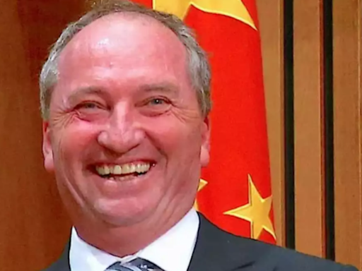 After quitting alcohol and cigarettes, Australia's former deputy PM Barnaby Joyce finds life 'boring'