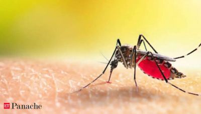 Monsoon Maladies: Malaria is more prevalent in the rainy season, 5 ways to stay safe