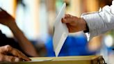 Lithuania confirms results of presidential election, referendum