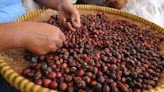 Cocoa and Coffee Prices Have Surged. Climate Change Will Only Take Them Higher.