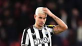 To become elite, Newcastle must evolve
