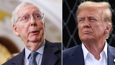 Mitch McConnell Mocks Donald Trump's 'Beyond Stupid' Request to Shut Down the Government Over Baseless Illegal Voter Claim