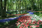 Keukenhof