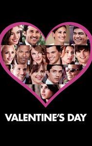 Valentine's Day (2010 film)