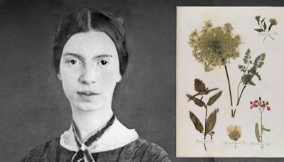 Emily Dickinson's Collection of Plants and Flowers Now Viewable Online for Free